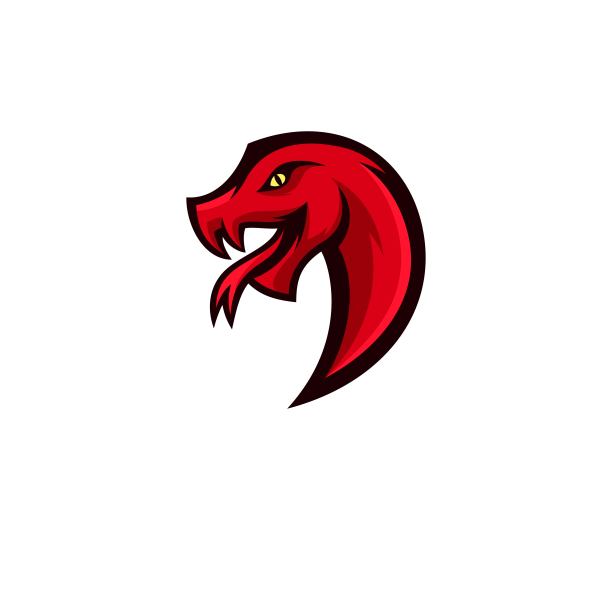 国王吉祥物