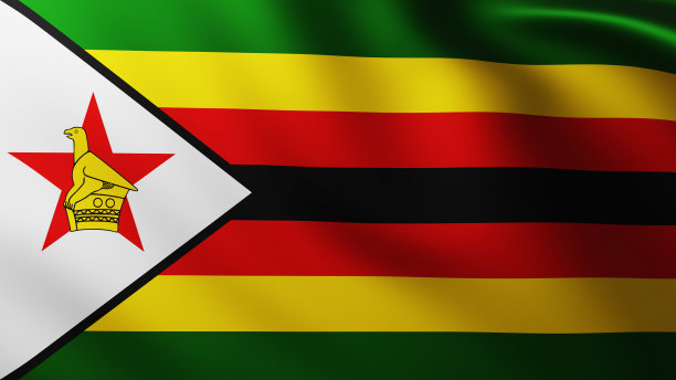 zimbabwean