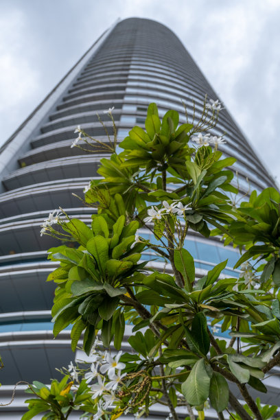 香港出游