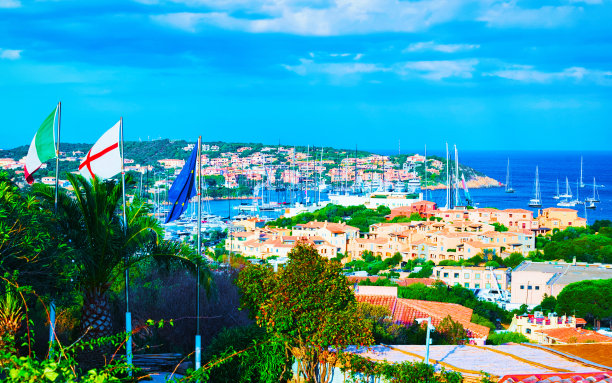 cervo