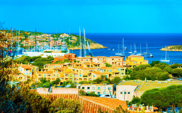 cervo