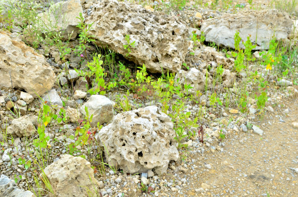 花岗石矿山