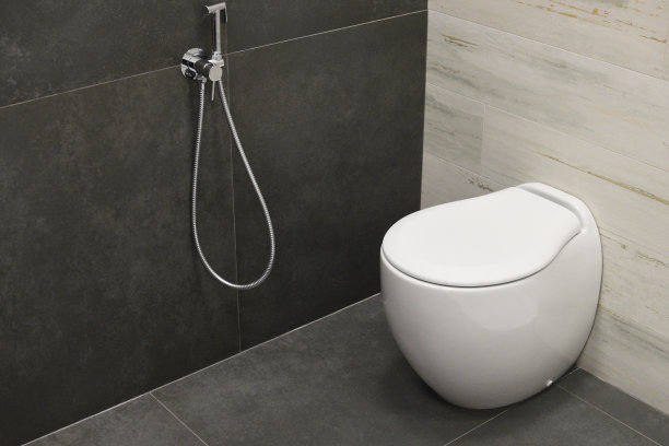 bidet
