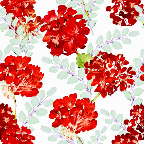 花纹植物红色包装图案
