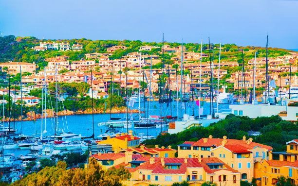 cervo