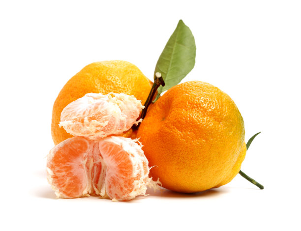 白背景橙子特写橘子