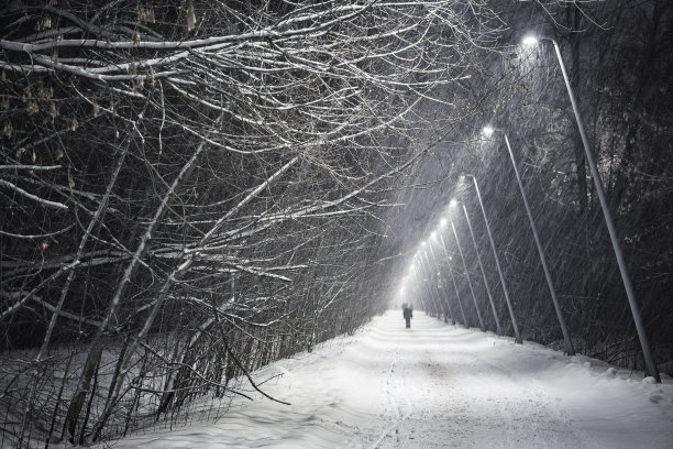 雪地里的灯笼