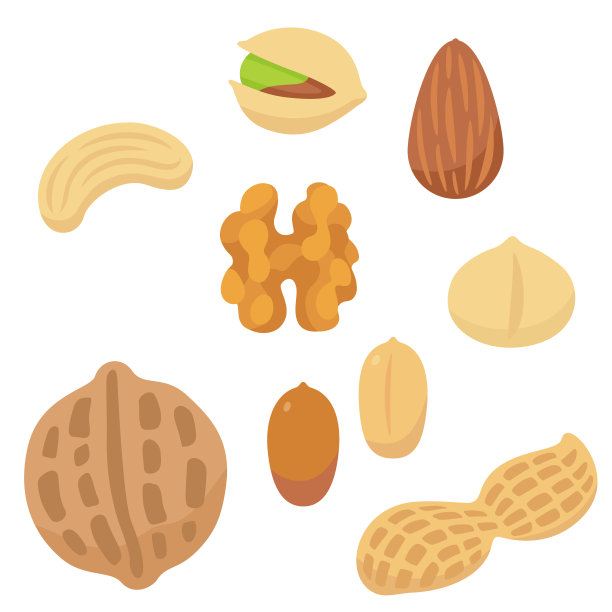 核桃插画