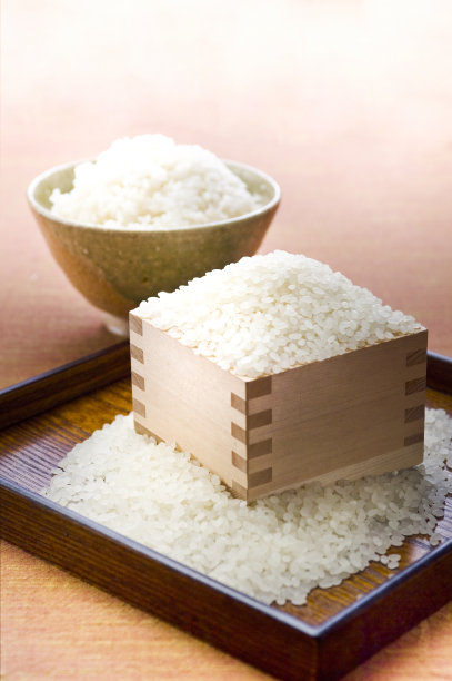 饭碗,日本食品,电饭锅