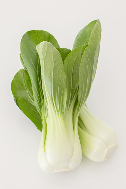 白菜