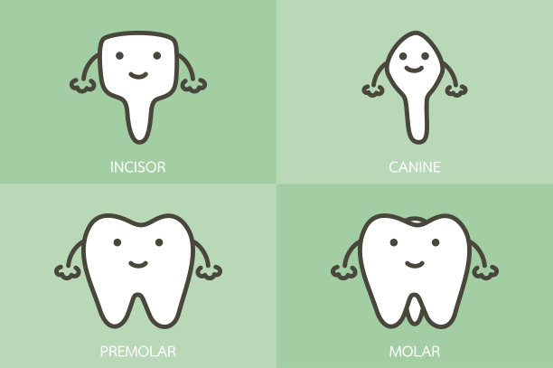 牙齿卡通形象