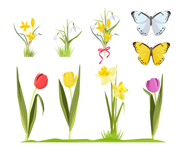 蝴蝶与花卉图案矢量