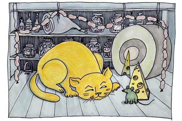 黄纹猫