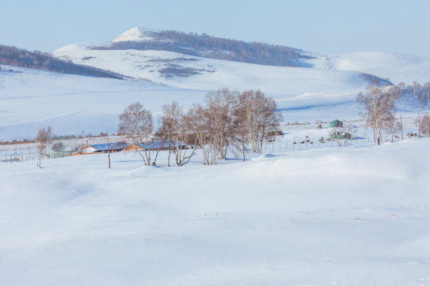 雪中草原牧场