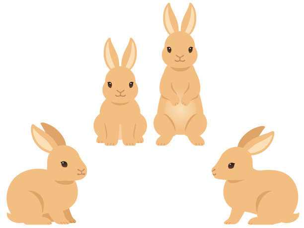 兔子插画兔年插画