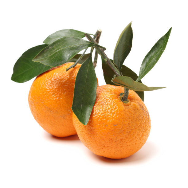 丑橙子
