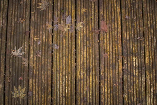 秋天的叶子图案在木板上