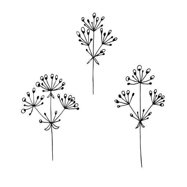 生物学,农业,部分