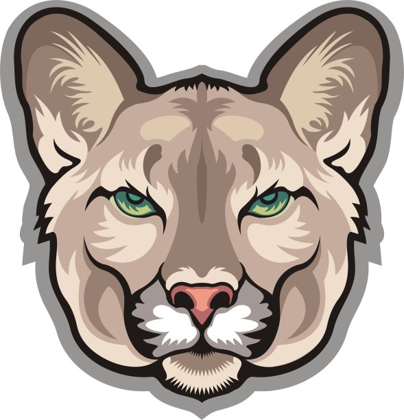 野生猫科动物,野生动物,美国