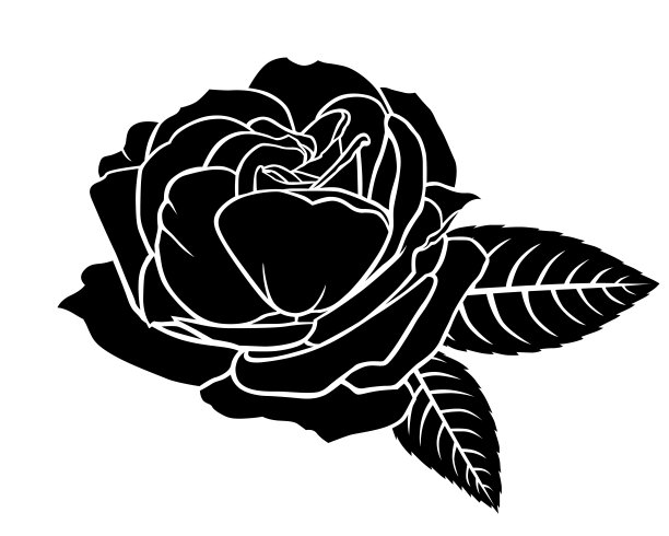 玫瑰花轮廓