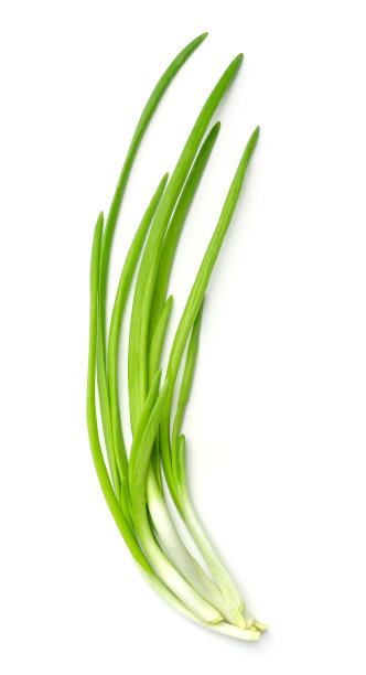 韭菜串