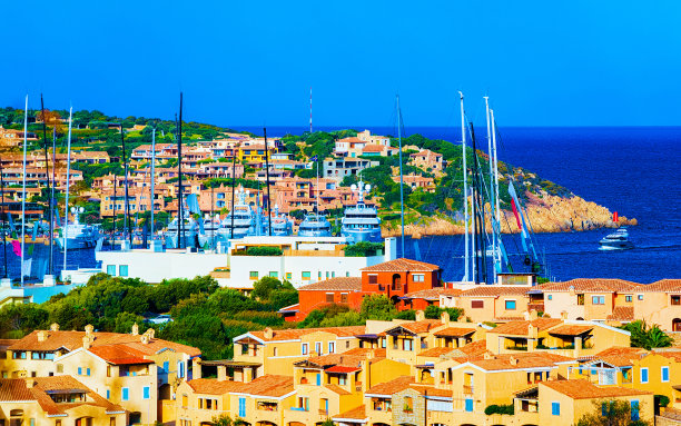 cervo