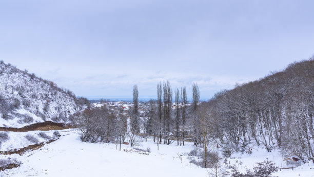 冬日雪原,下雪,积雪,农村