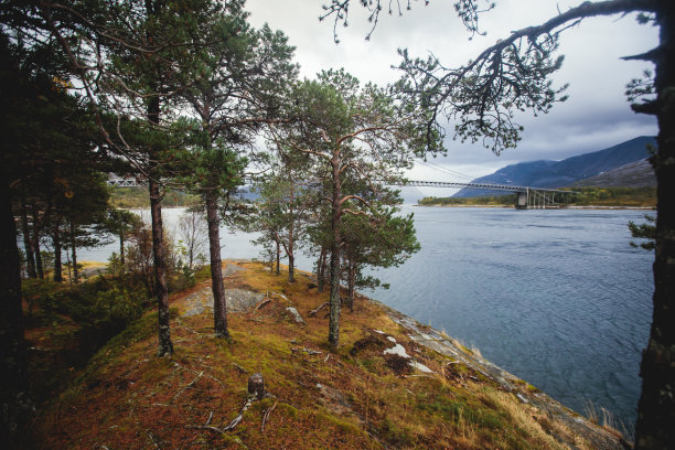 narvik