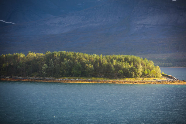 narvik