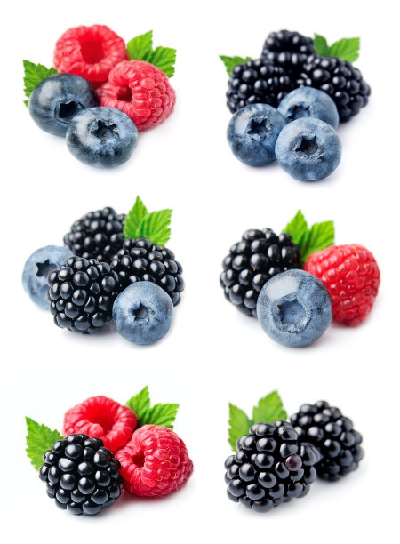 黑莓蓝莓树莓组合