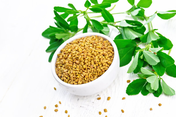 ayurveda