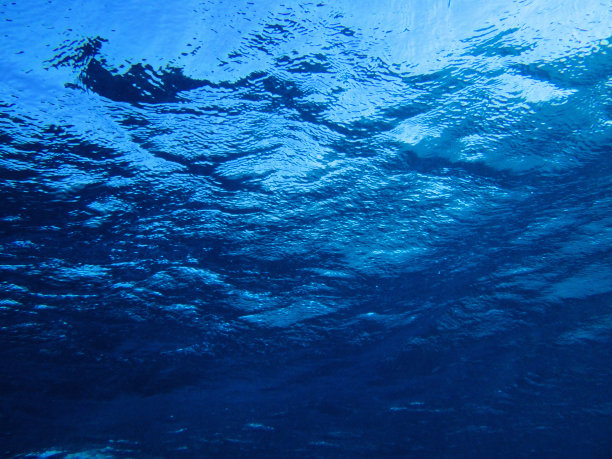 海洋潜水素材