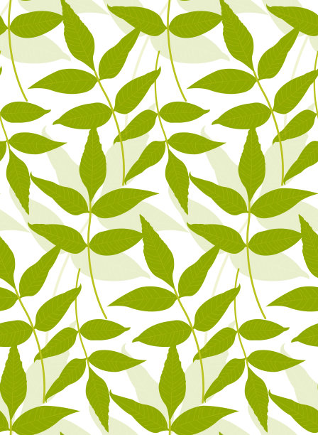 绿茶叶子插画