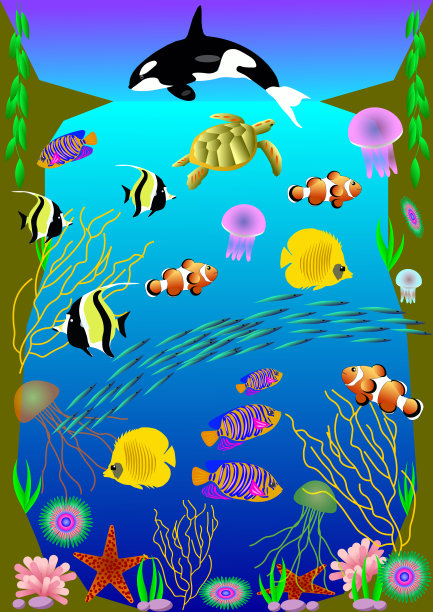 鱼类和藻类插画