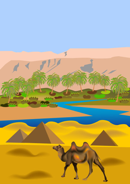 骆驼插画