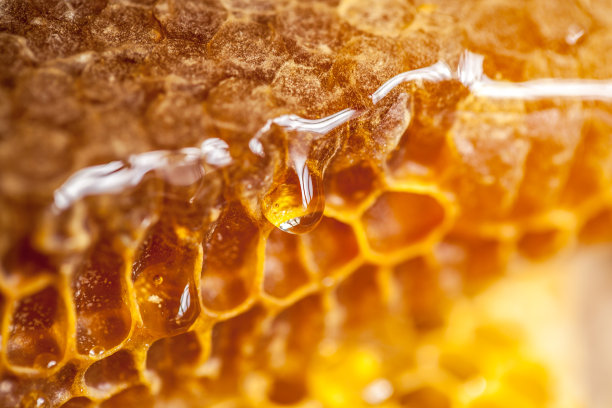 honey