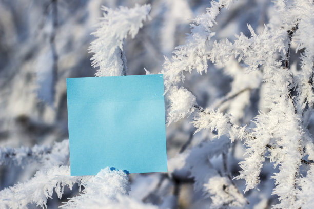 大雪冬至小寒大寒