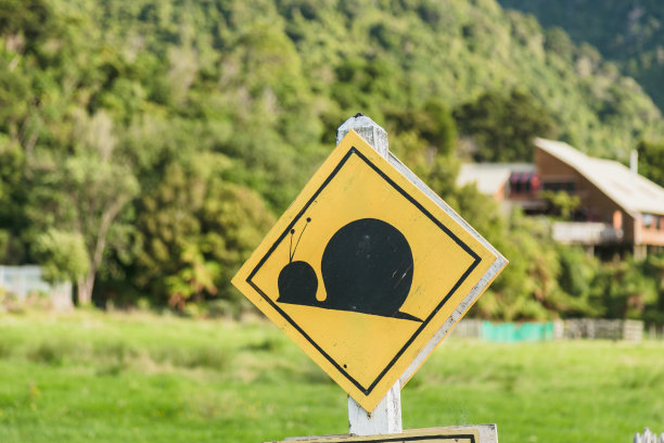 无脊椎动物标志