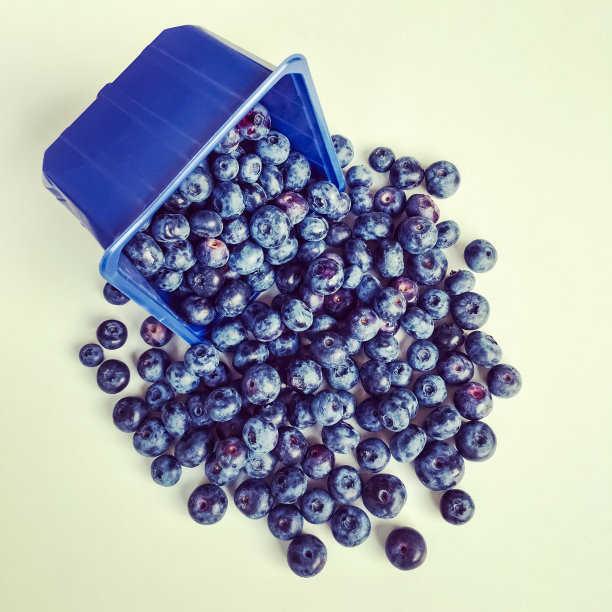 盒装蓝莓