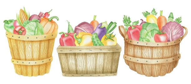 蔬菜插画 西红柿 西蓝花 黄瓜