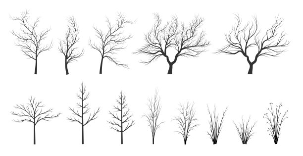 矢量树木图片