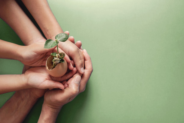 世界粮食日宣传