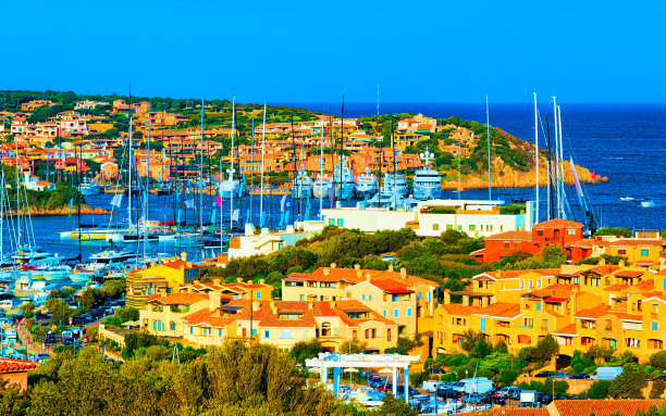 cervo