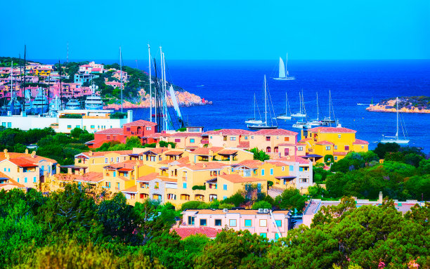 cervo