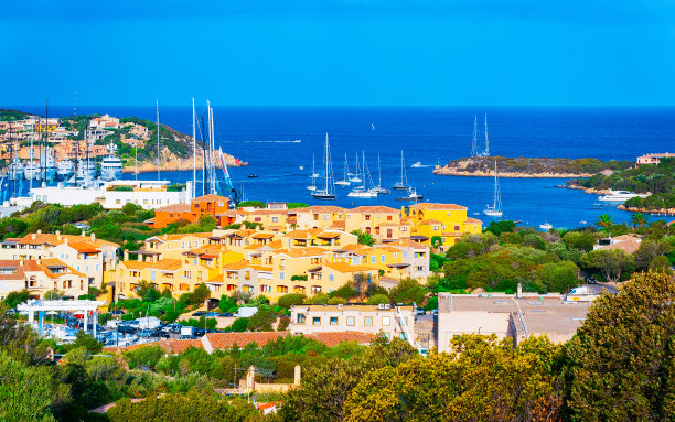 cervo