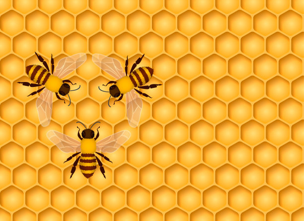 天然蜂蜜模板