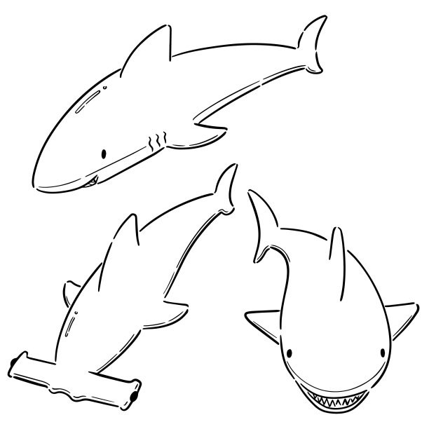 鲨鱼线稿
