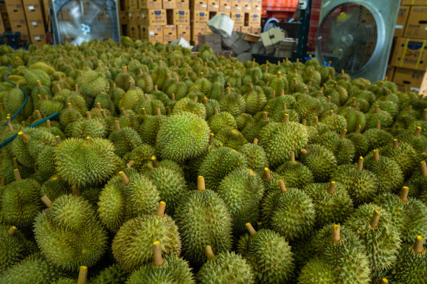 durian
