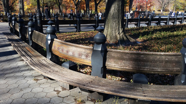 秋天在公园的长椅上