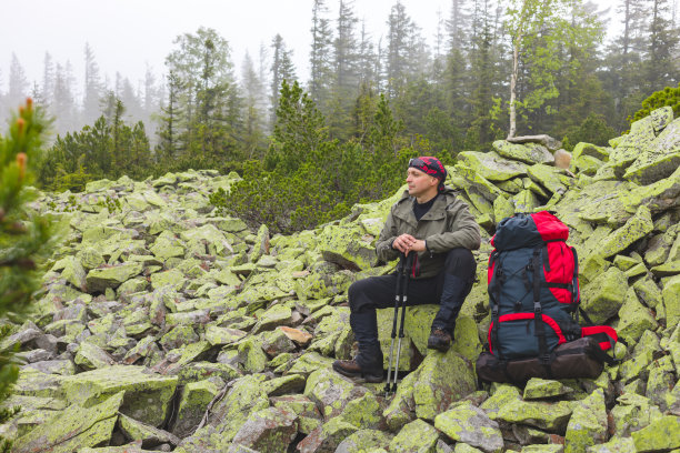 背包客在森林的岩石上休息。